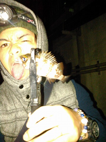 アジマストのオレンジ